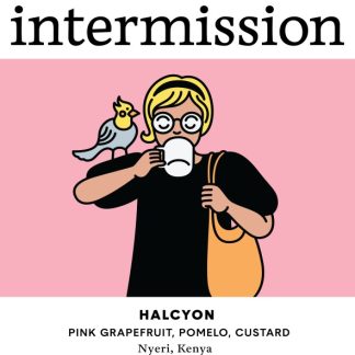 HALCYON, Washed, Kenya