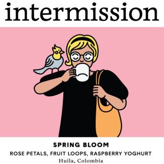 SPRING BLOOM, Advanced Natural Geisha, Colombia
