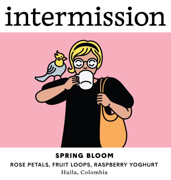 SPRING BLOOM, Advanced Natural Geisha, Colombia